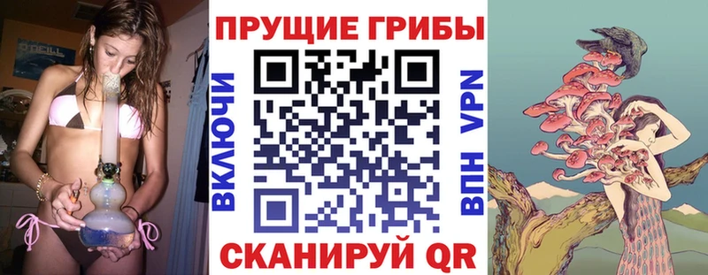 Псилоцибиновые грибы мухоморы  Цивильск 